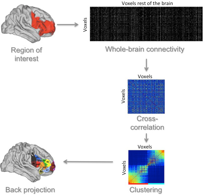 Connectivity-based parcellation method