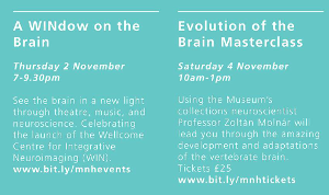 Events at the Natural History Museum Oxford 2017